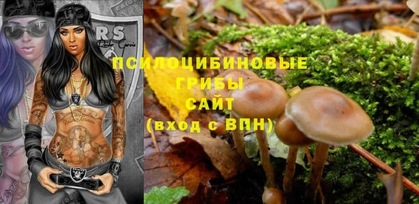 дмт Алзамай