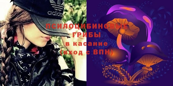 кокс Алексин