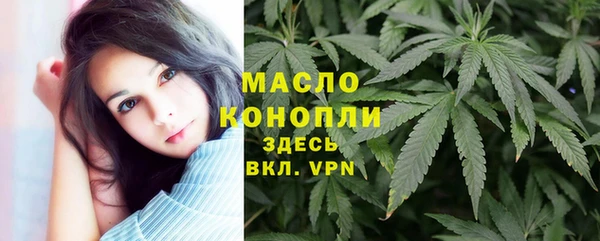 дмт Алзамай