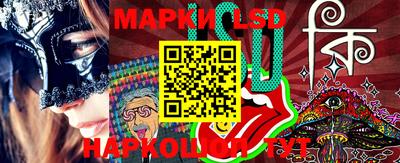 тгк Новодвинск