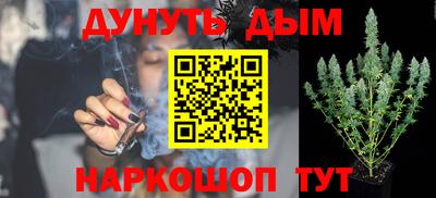 тгк Новодвинск