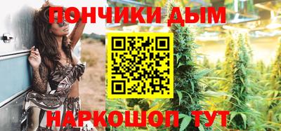 тгк Новодвинск