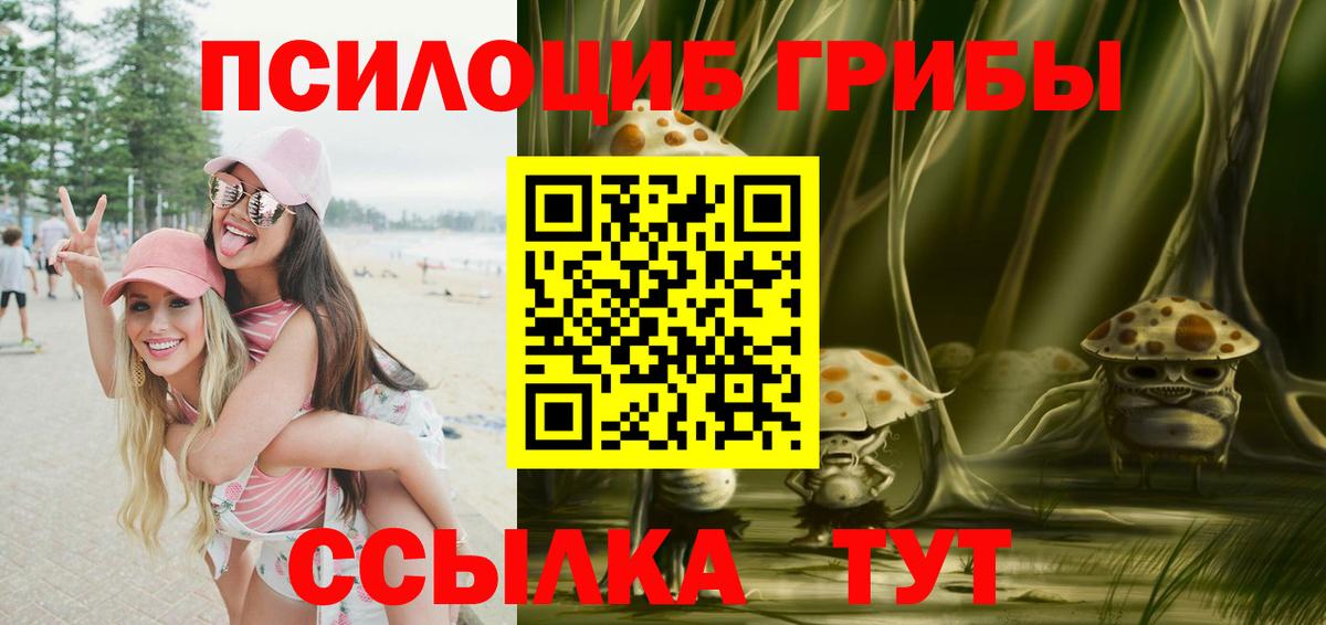 Электрогорск  Псилоцибиновые грибы мицелий  наркота  Вход с VPN 