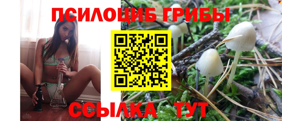 Галлюциногенные грибы прущие грибы Электрогорск